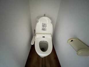 Pic7