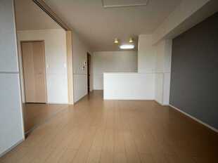Pic1