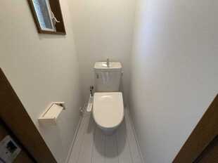 Pic11