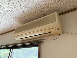 Pic11