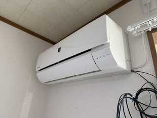Pic11