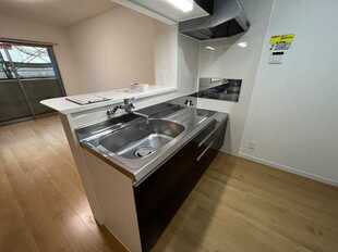 Pic11