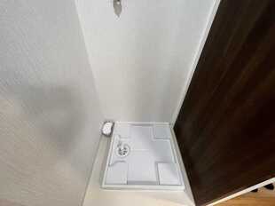 Pic3