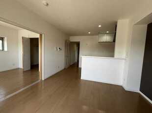 Pic1