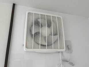 Pic11