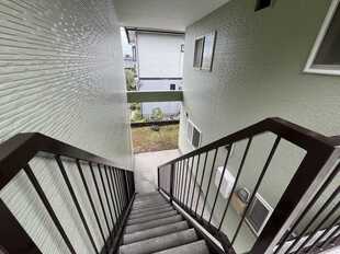 Pic19