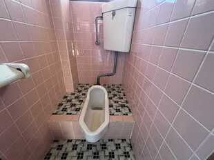 Pic15