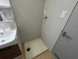 Pic8