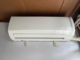 Pic19