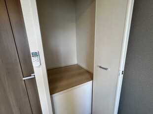 Pic11