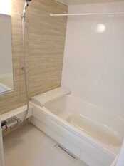 Pic3