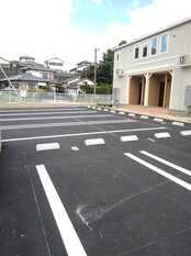Pic11