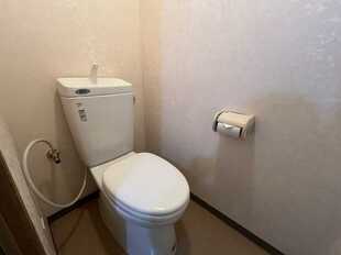 Pic7