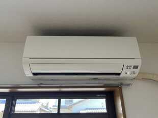 Pic19
