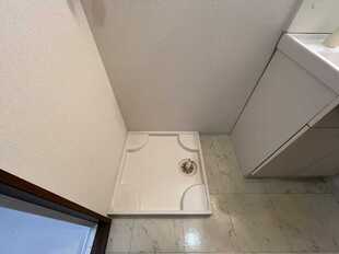 Pic11