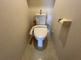 Pic13