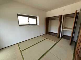 Pic19