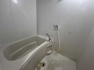 Pic13