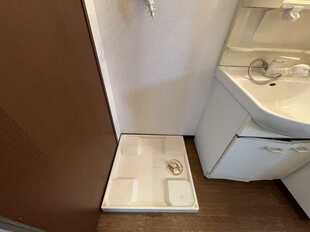 Pic2
