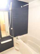 Pic3