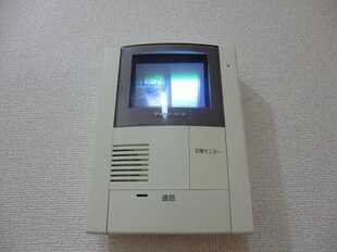 Pic11