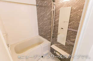Pic3