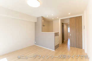 Pic11