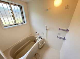 Pic11