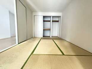 Pic11