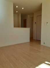 Pic1