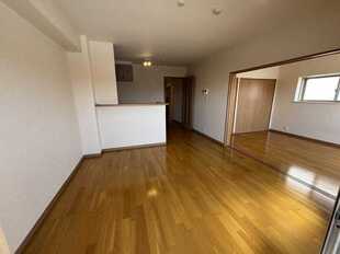 Pic1