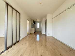 Pic11