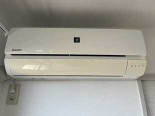 Pic19
