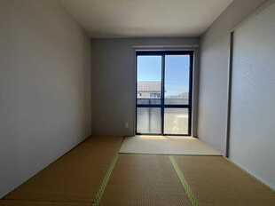 Pic11