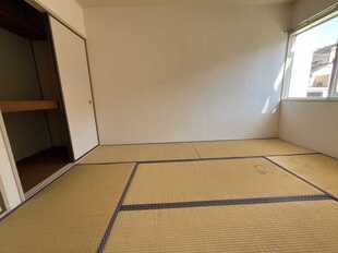 Pic11