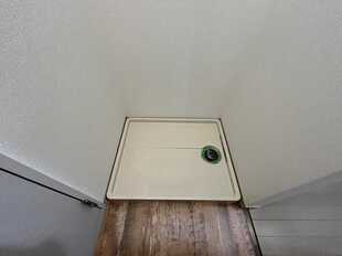 Pic5