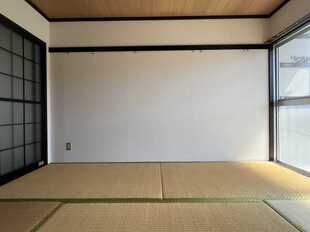 Pic11