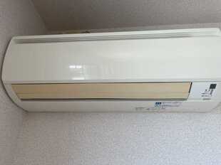 Pic15
