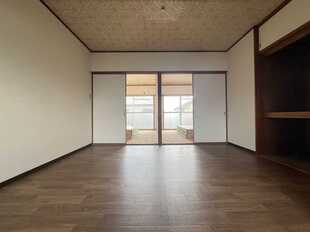 Pic11