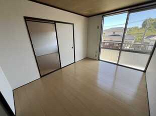 Pic1