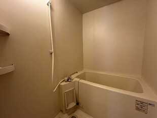 Pic8