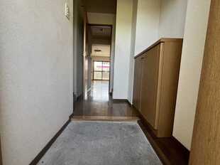 Pic1