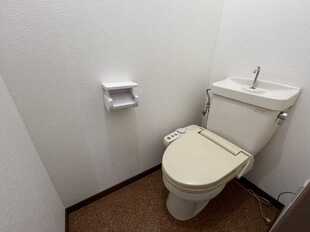 Pic8