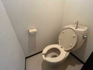 Pic5