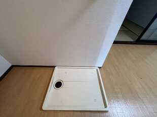Pic3