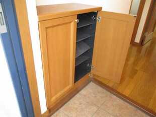 Pic11