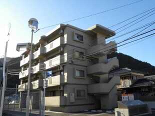 Pic19