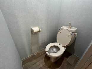 Pic8