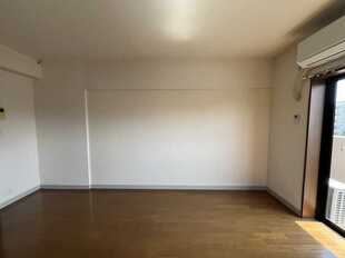 Pic11