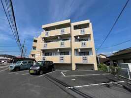 ◆ハートランドヤナギタ